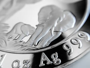 silver elephant coin AG