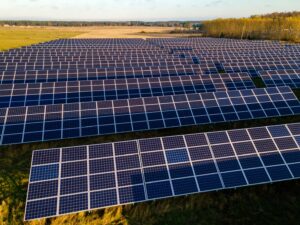 field of solar panels